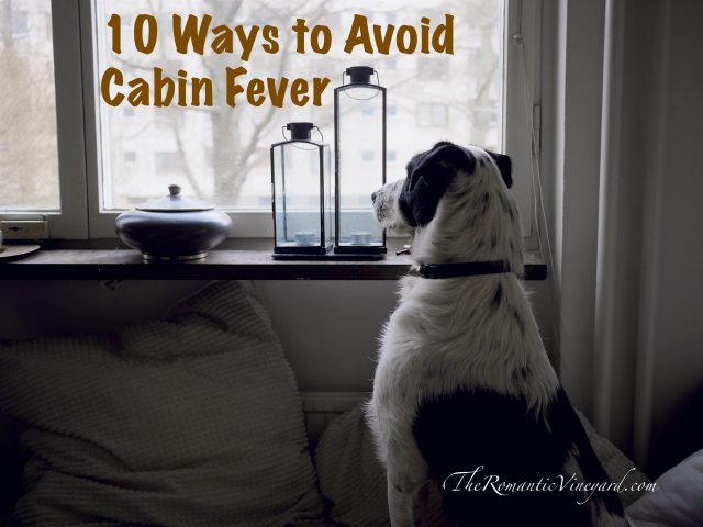 10 Ways To Avoid Cabin Fever