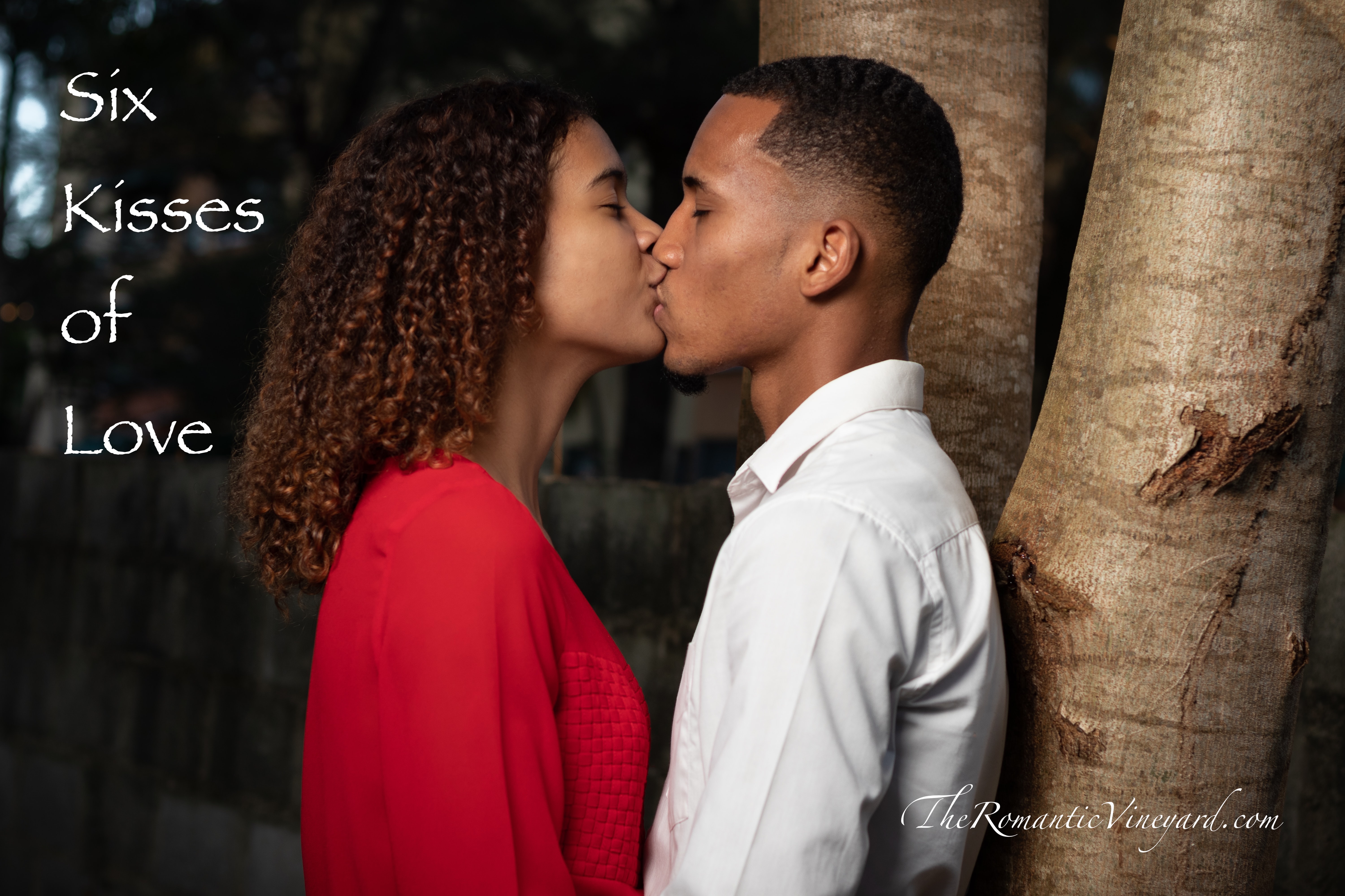 Six Kisses That Promote Marital Success | The Romantic Vineyard